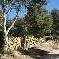 Chambre d'hote Pyr�n�es-Orientales - Les abords de la maison