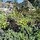 bed & breakfast Cantal - 