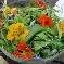 bed & breakfast Cantal - 