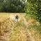 bed & breakfast Vaucluse - At the top of Farmhouse - Type of vines of the C�t