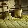 bed & breakfast Mayenne - 