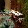 Gastzimmer Bouches du Rh�ne - 