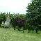 bed & breakfast Haute-Sa�ne - View from terraced park