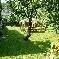bed & breakfast Hautes-Pyr�n�es - 