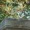 bed & breakfast Vaucluse - 